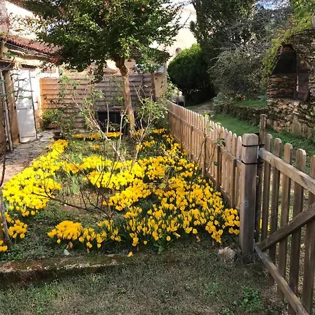 Presbytere De Cassagnes