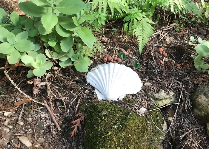 Presbytere De Cassagnes