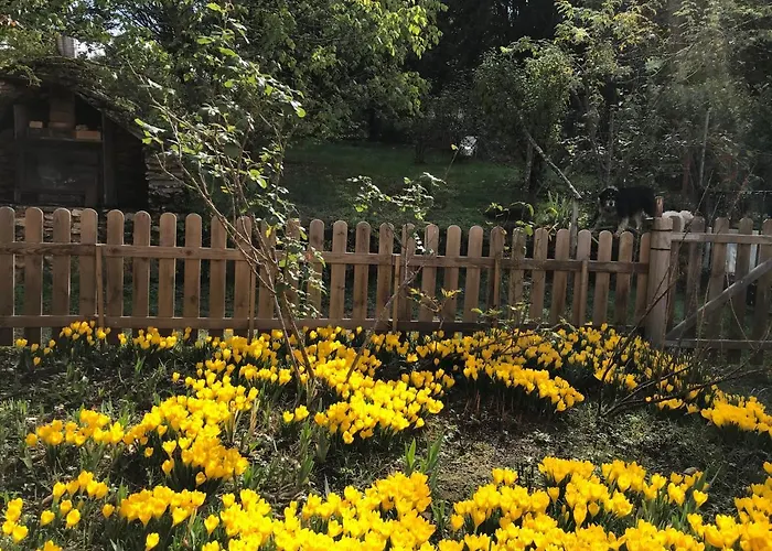 Presbytere De Cassagnes Cassagnes (Lot)