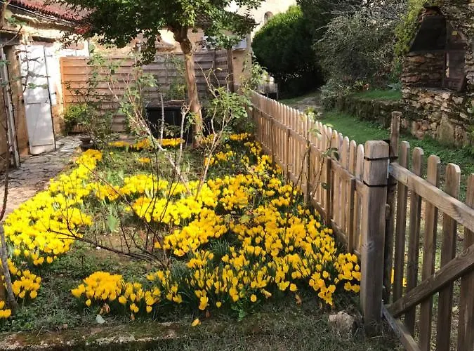 Presbytere De Cassagnes