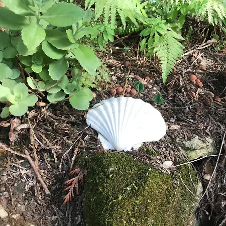 Presbytere De Cassagnes